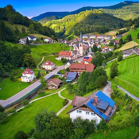 Steepleview House, Schwarzwaldblick Apartment - spacious&peaceful Bad Peterstal-Griesbach Zewnętrze zdjęcie